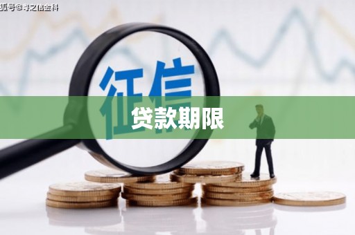 龙沙贷款期限
