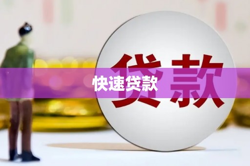 龙沙快速贷款