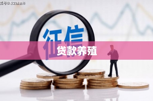 龙沙贷款养殖