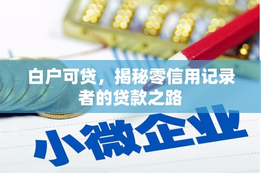 龙沙白户可贷，揭秘零信用记录者的贷款之路