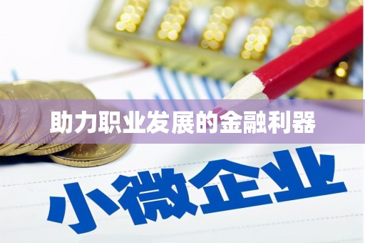 龙沙助力职业发展的金融利器