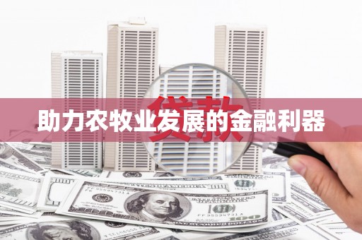 龙沙助力农牧业发展的金融利器