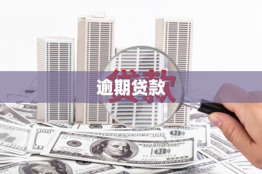龙沙逾期贷款