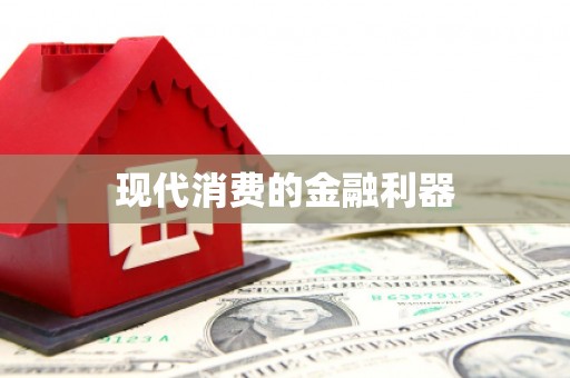 龙沙现代消费的金融利器
