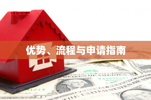龙沙优势、流程与申请指南