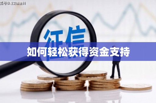 龙沙如何轻松获得资金支持