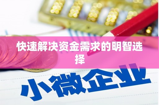 龙沙快速解决资金需求的明智选择