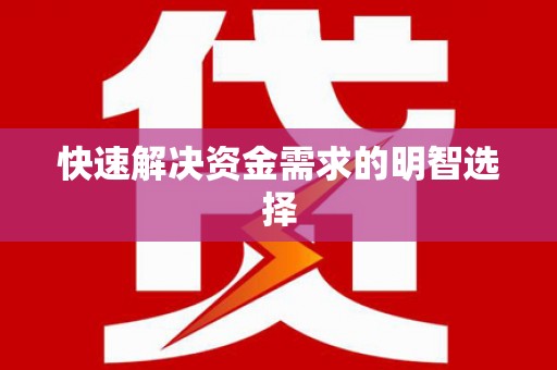 龙沙快速解决资金需求的明智选择