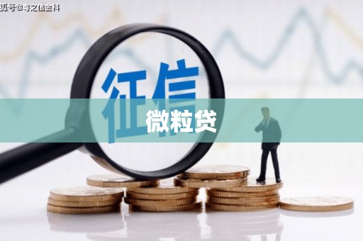 龙沙微粒贷
