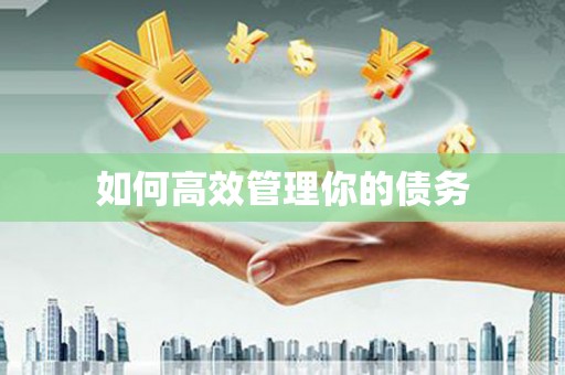 龙沙如何高效管理你的债务