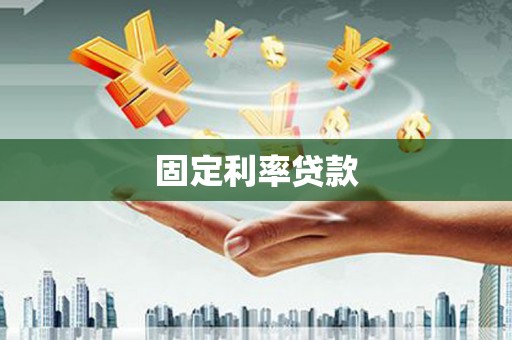 龙沙固定利率贷款