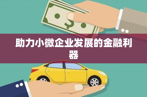 龙沙助力小微企业发展的金融利器