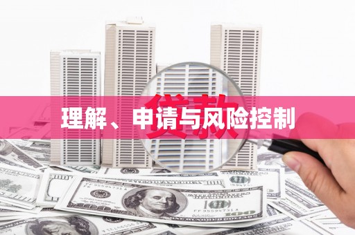 龙沙理解、申请与风险控制
