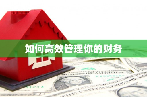 龙沙如何高效管理你的财务