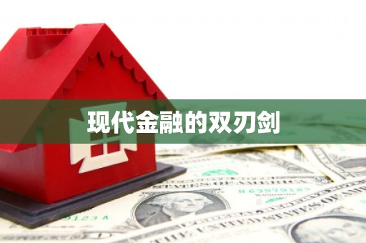龙沙现代金融的双刃剑