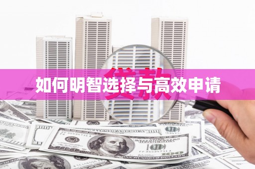 龙沙如何明智选择与高效申请