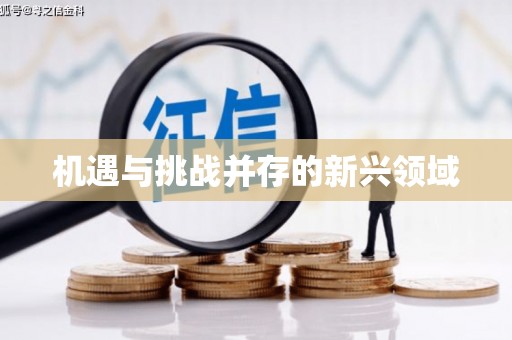 龙沙机遇与挑战并存的新兴领域