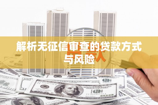 龙沙解析无征信审查的贷款方式与风险