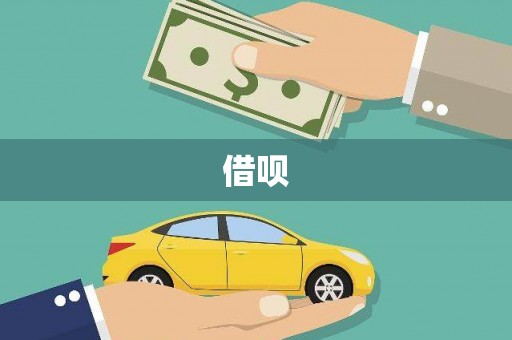 龙沙借呗