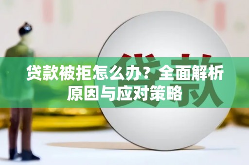 龙沙贷款被拒怎么办？全面解析原因与应对策略