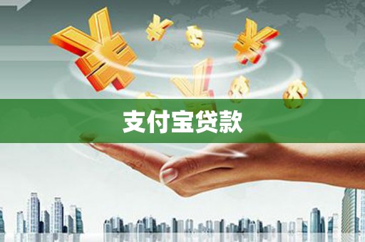 龙沙支付宝贷款