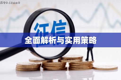 龙沙全面解析与实用策略