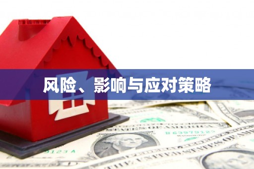 龙沙风险、影响与应对策略
