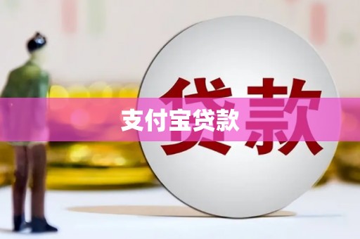 龙沙支付宝贷款