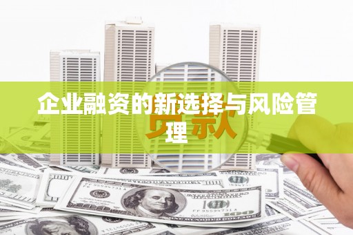 龙沙企业融资的新选择与风险管理