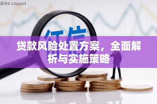 龙沙贷款风险处置方案，全面解析与实施策略