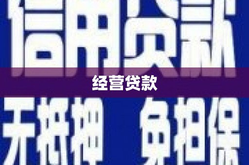 龙沙经营贷款