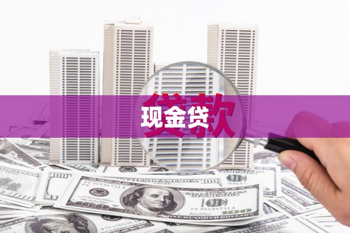 龙沙现金贷