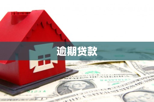 龙沙逾期贷款