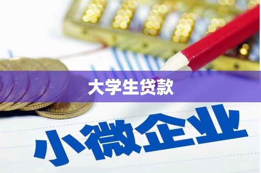 龙沙大学生贷款