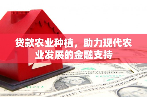 龙沙贷款农业种植，助力现代农业发展的金融支持