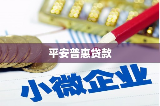 龙沙平安普惠贷款