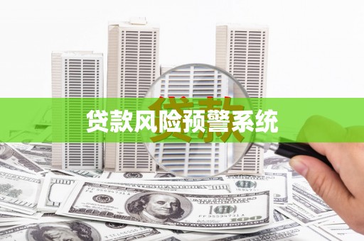 龙沙贷款风险预警系统
